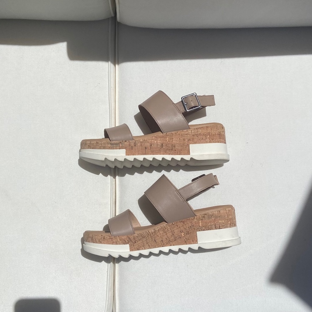 Brenda platform
